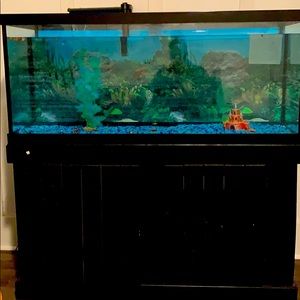 75 gallon fish tank